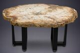 Polished Triassic Petrified Wood Table - Madagascar #352271-1